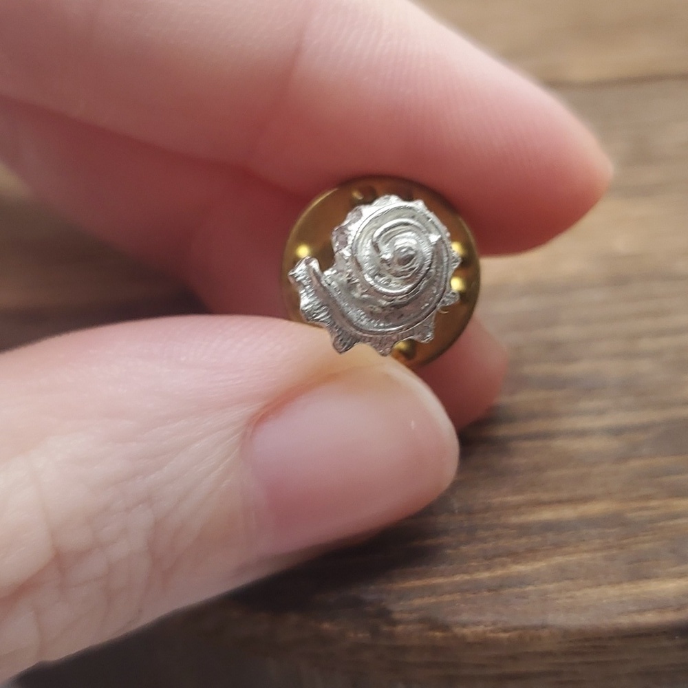 Ancient shell pin‎ B415